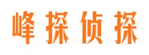 定安外遇出轨调查取证